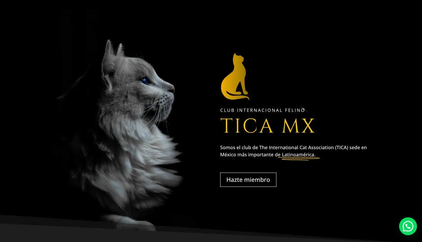 Tica MX – Después